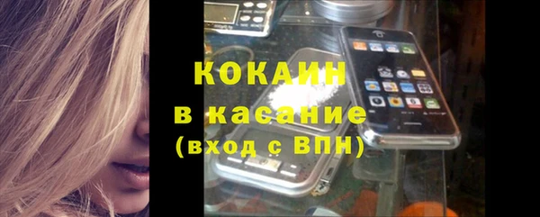 хмурый Нея