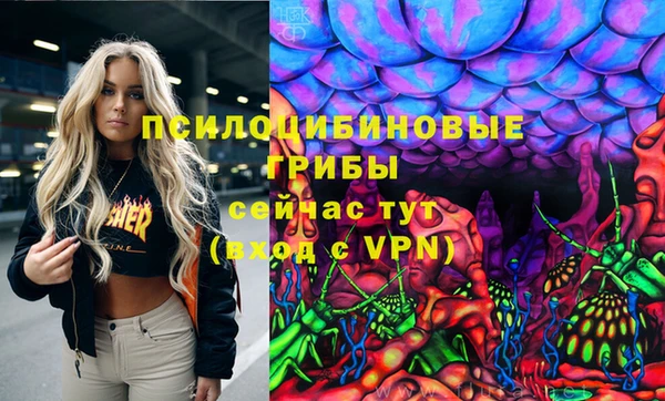 хмурый Надым
