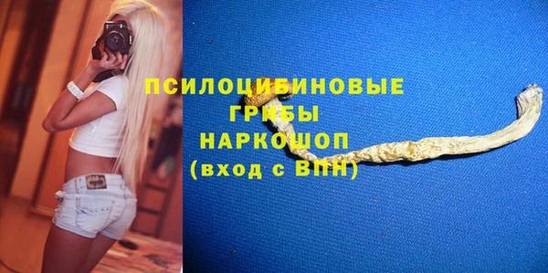 хмурый Надым