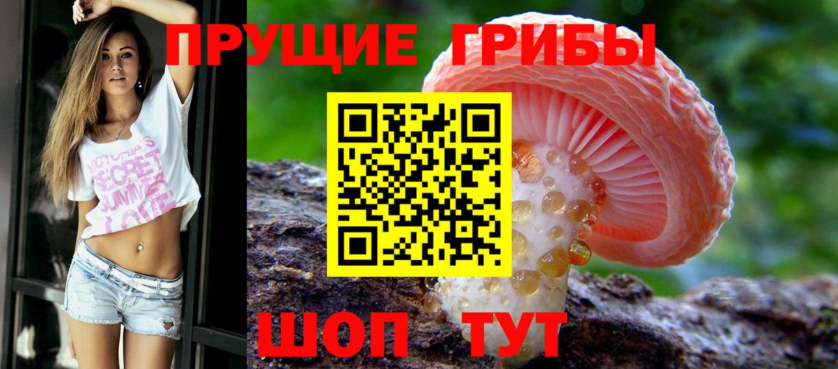 Галлюциногенные грибы Magic Shrooms Березники