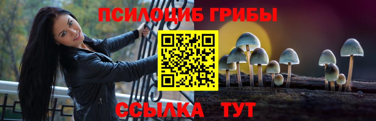 Псилоцибиновые грибы ЛСД  Вход с VPN  Березники  Галлюциногенные грибы ЛСД 